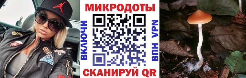 Псилоцибиновые грибы прущие грибы  Почеп 